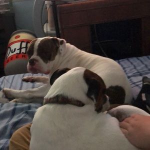 Meet your Posher, Logan